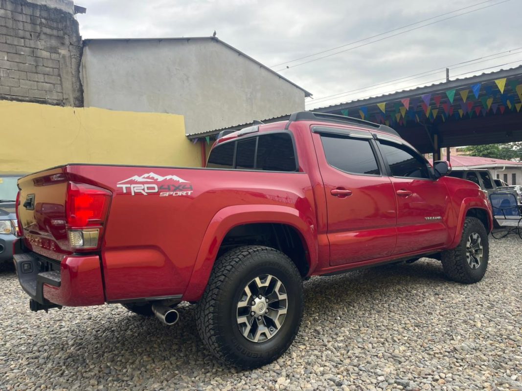 WhatsApp Image 2026-01-30 at 3.20.26 PM (1)