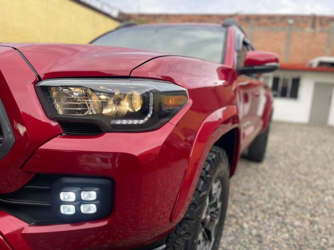 WhatsApp Image 2026-01-30 at 3.20.29 PM (1)