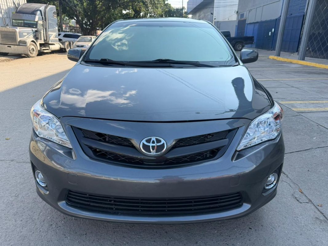 WhatsApp Image 2026-01-31 at 3.44.33 PM (1)