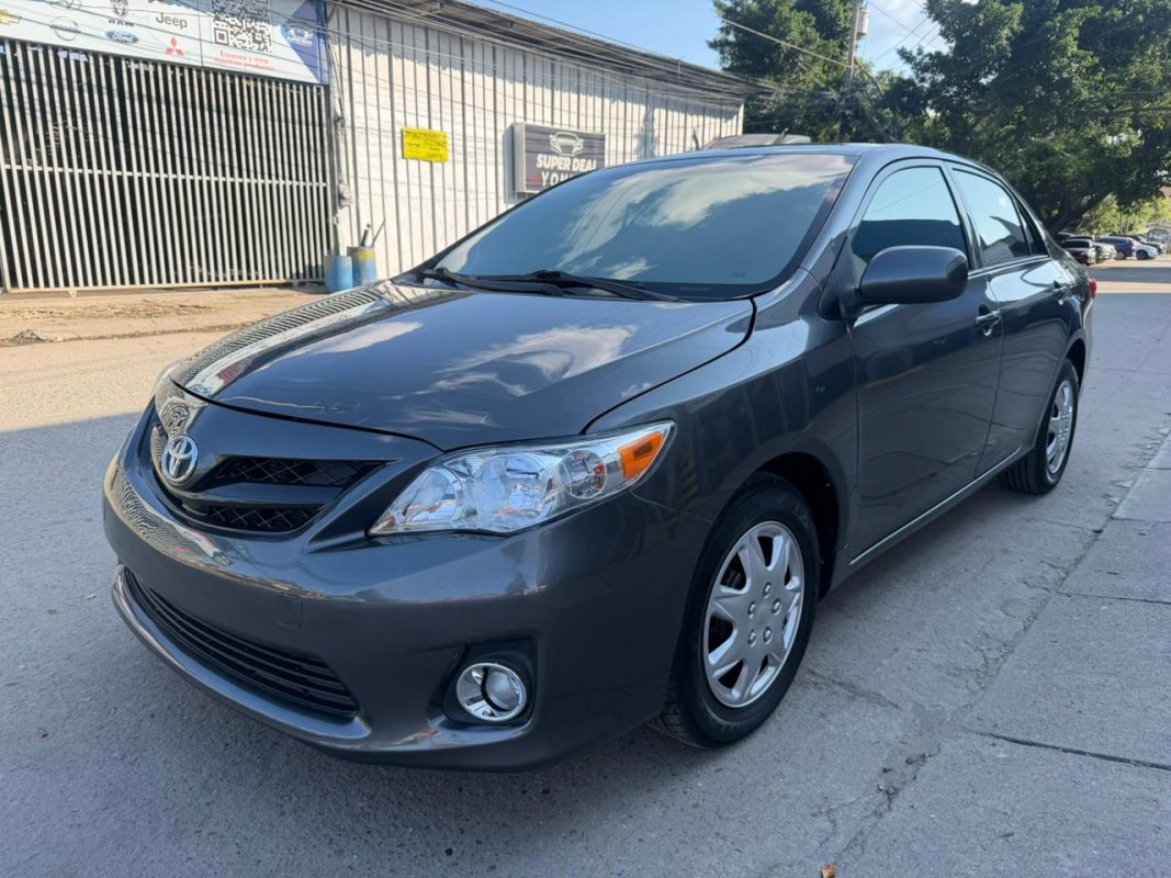 WhatsApp Image 2026-01-31 at 3.44.33 PM