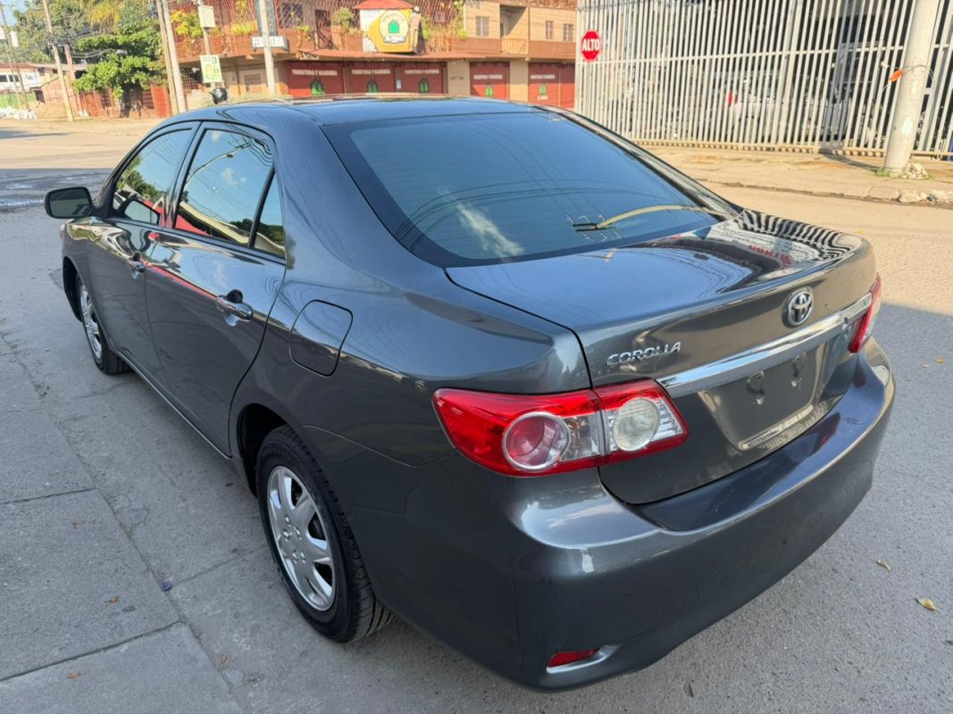 WhatsApp Image 2026-01-31 at 3.44.34 PM (1)