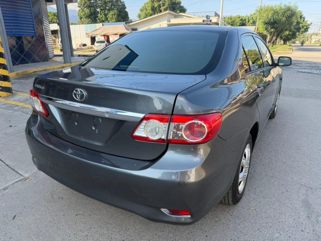 WhatsApp Image 2026-01-31 at 3.44.34 PM (3)