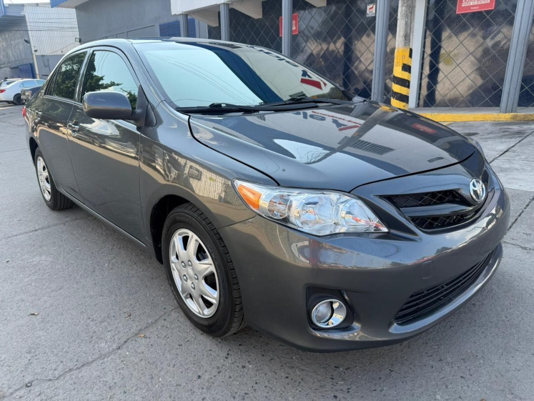 WhatsApp Image 2026-01-31 at 3.44.34 PM