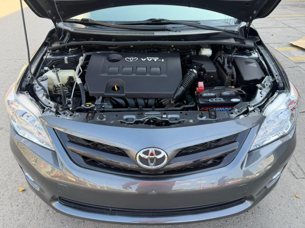 WhatsApp Image 2026-01-31 at 3.44.37 PM (1)