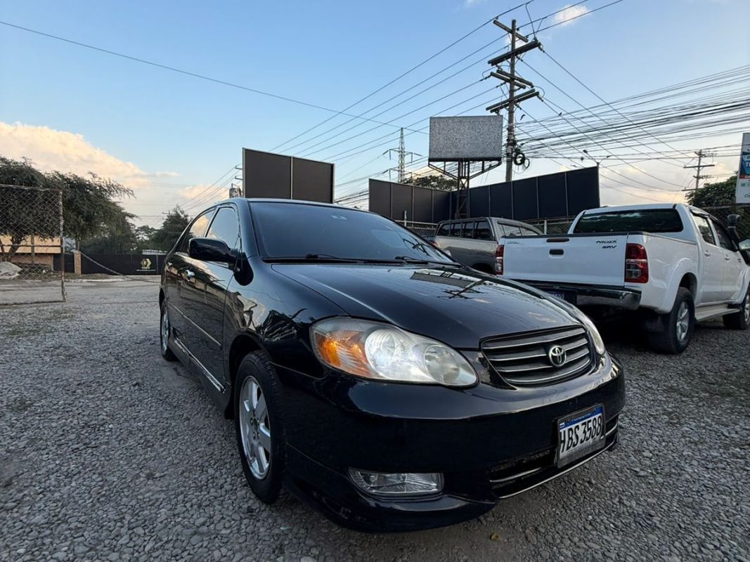 WhatsApp Image 2026-01-31 at 8.48.07 PM (2)