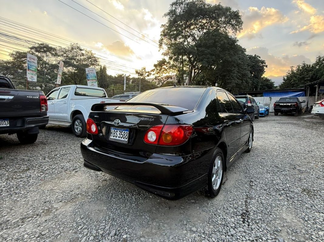 WhatsApp Image 2026-01-31 at 8.48.08 PM (1)