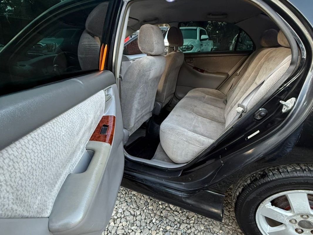 WhatsApp Image 2026-01-31 at 8.48.09 PM (1)