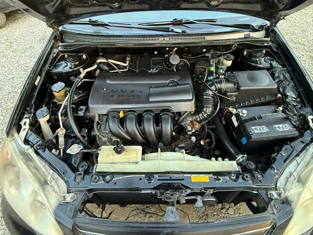 WhatsApp Image 2026-01-31 at 8.48.10 PM (1)