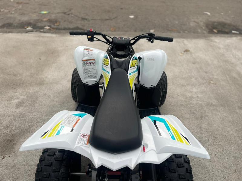 WhatsApp Image 2026-02-03 at 5.07.21 PM (2)