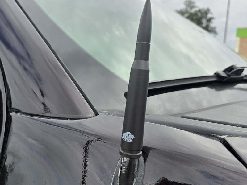 WhatsApp Image 2026-02-03 at 5.51.51 PM (3)