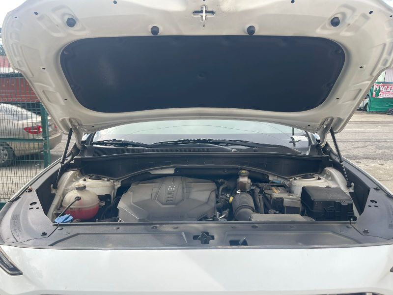 WhatsApp Image 2026-02-03 at 6.21.17 AM (1)