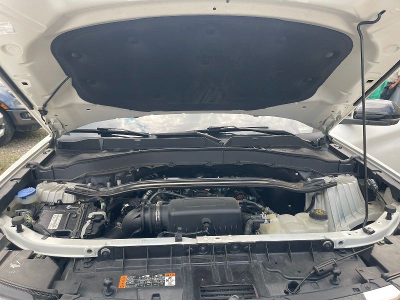 WhatsApp Image 2026-02-03 at 6.25.27 AM (2)