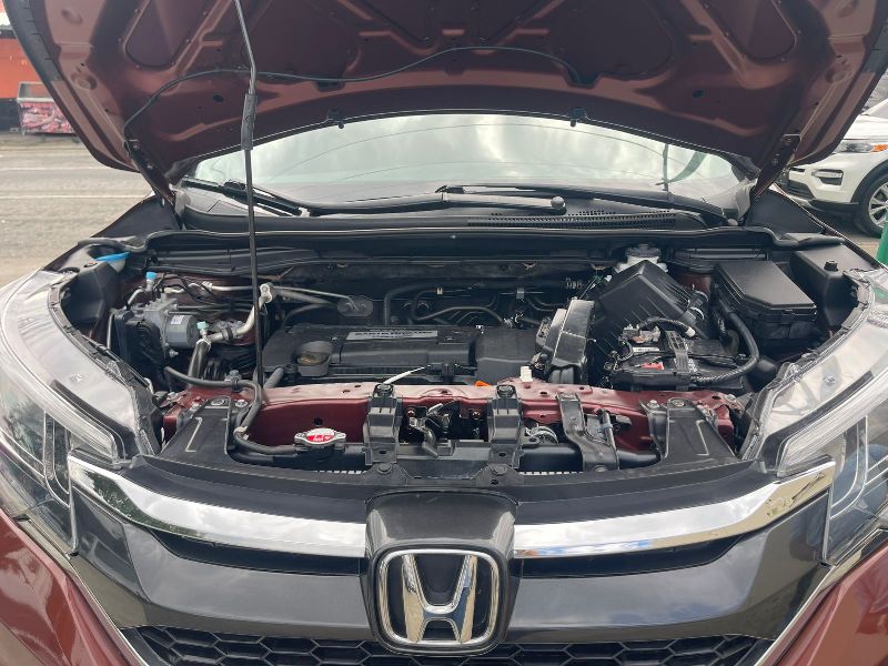 WhatsApp Image 2026-02-03 at 6.32.19 AM (1)