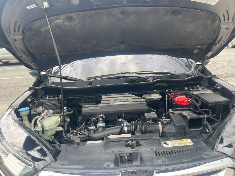 WhatsApp Image 2026-02-03 at 6.36.10 AM (1)