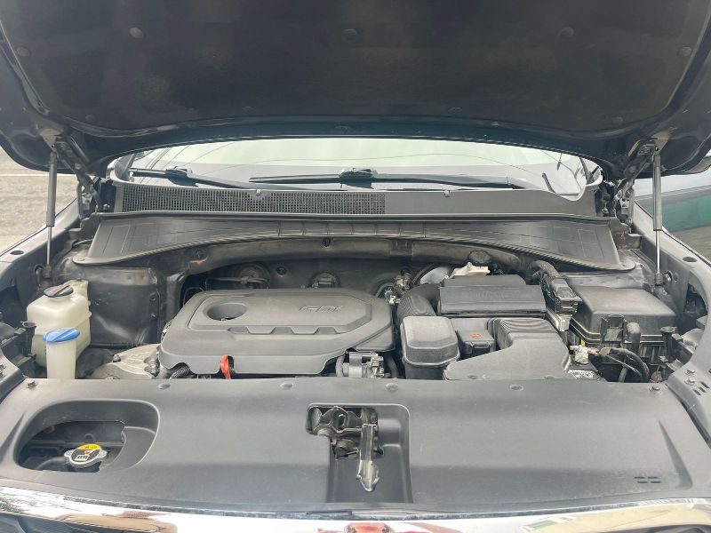 WhatsApp Image 2026-02-03 at 9.35.49 AM