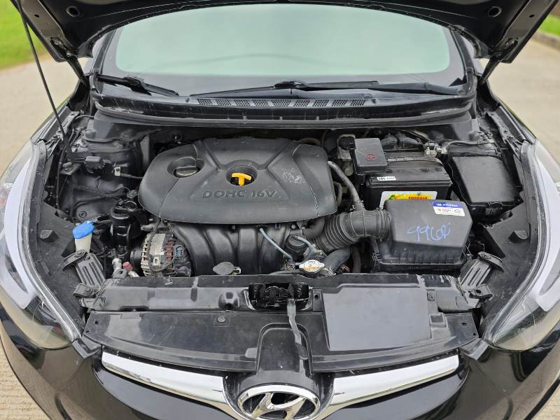 WhatsApp Image 2026-02-04 at 11.10.21 AM (5)