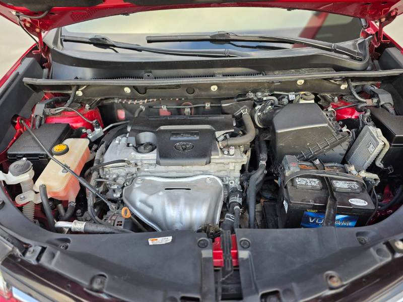 WhatsApp Image 2026-02-04 at 6.29.11 PM (4)