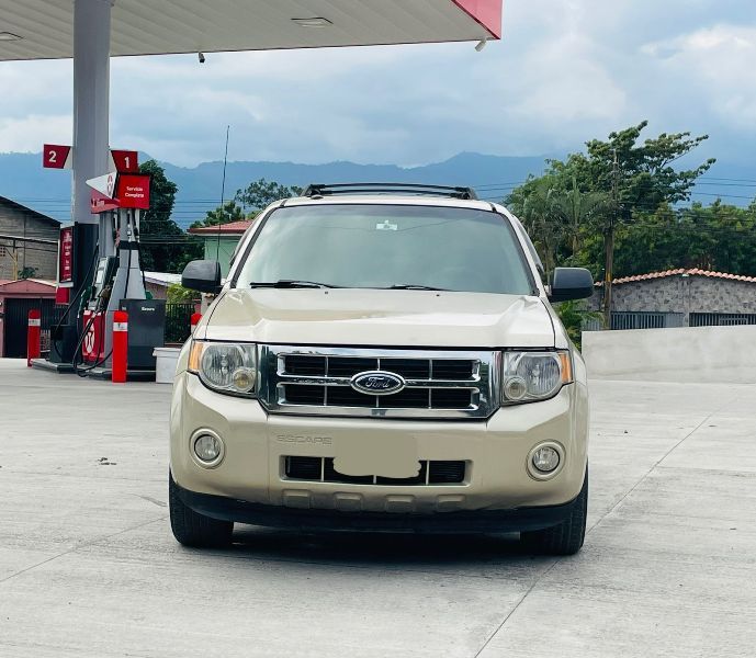 WhatsApp Image 2026-02-04 at 6.34.12 PM (1)