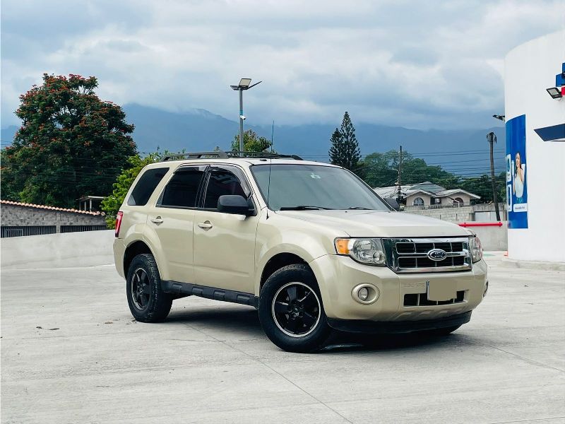 WhatsApp Image 2026-02-04 at 6.34.12 PM (3)