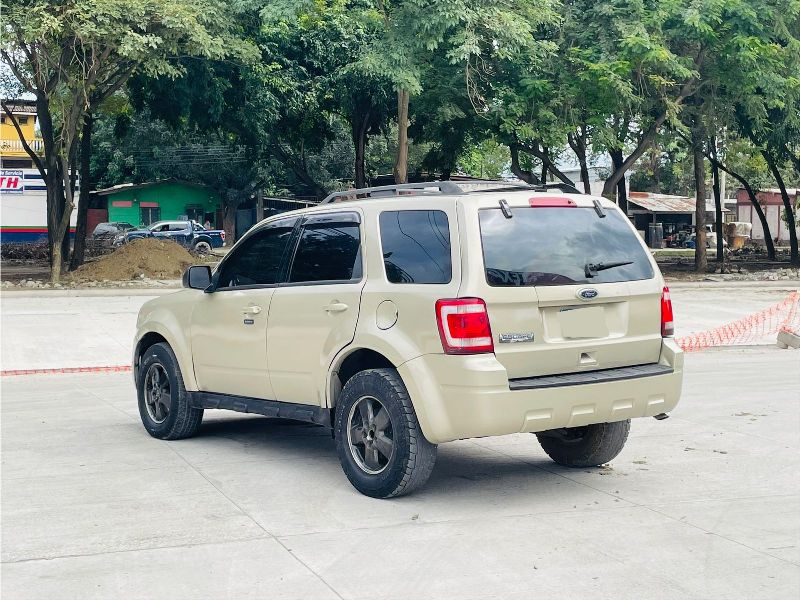 WhatsApp Image 2026-02-04 at 6.34.13 PM (2)