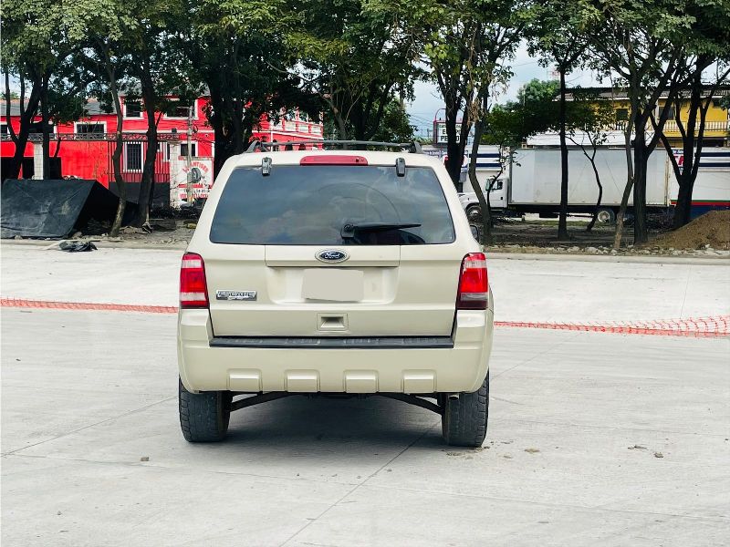 WhatsApp Image 2026-02-04 at 6.34.13 PM (4)