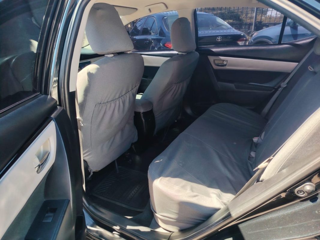 WhatsApp Image 2026-02-05 at 10.50.31 AM (2)