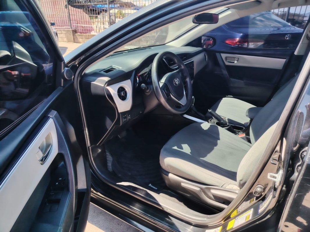 WhatsApp Image 2026-02-05 at 10.50.32 AM