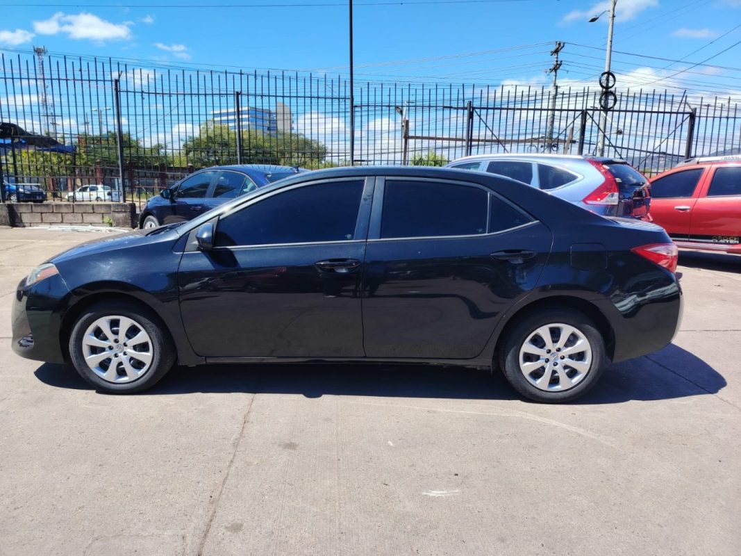 WhatsApp Image 2026-02-05 at 10.50.33 AM (2)