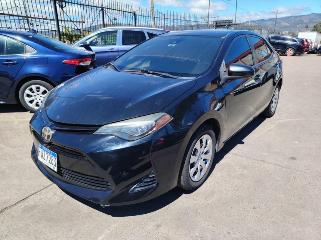 WhatsApp Image 2026-02-05 at 10.50.33 AM (3)