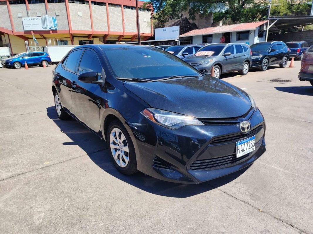 WhatsApp Image 2026-02-05 at 10.50.33 AM (5)