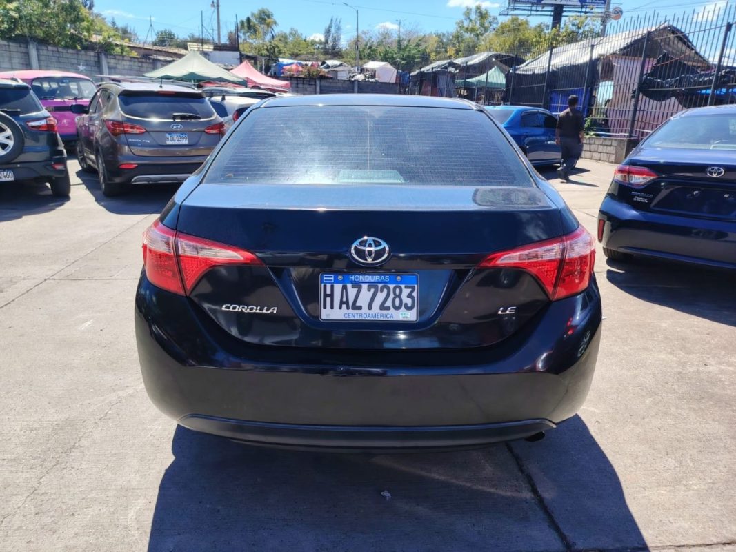 WhatsApp Image 2026-02-05 at 10.50.33 AM