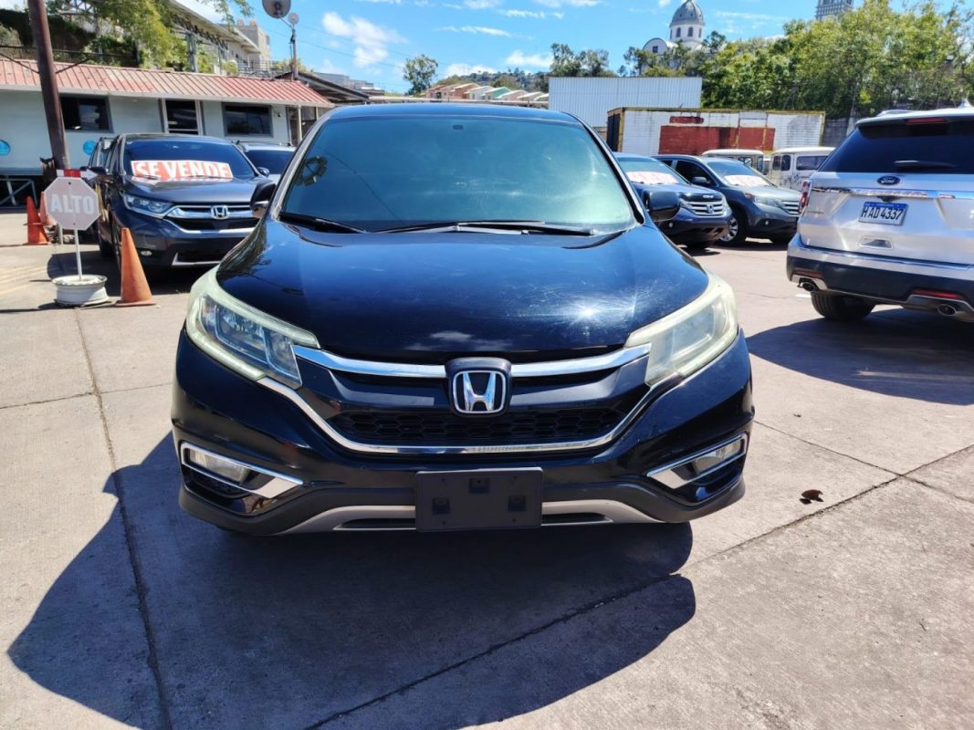 WhatsApp Image 2026-02-05 at 11.22.41 AM (1)