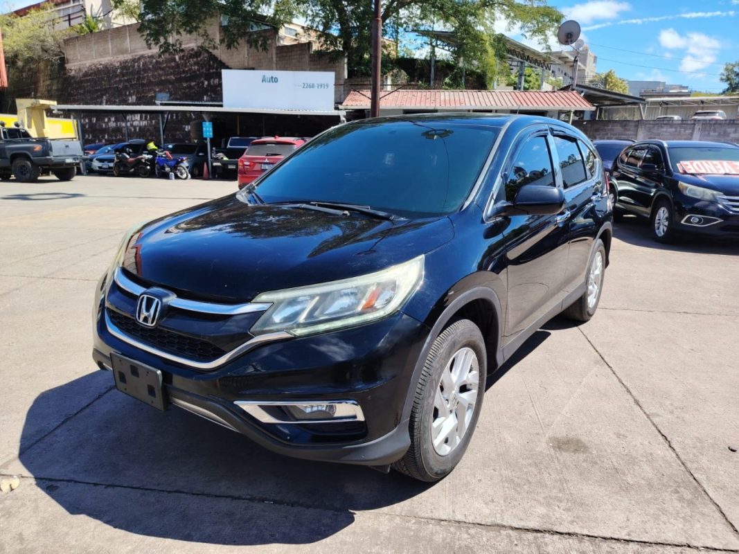 WhatsApp Image 2026-02-05 at 11.22.41 AM