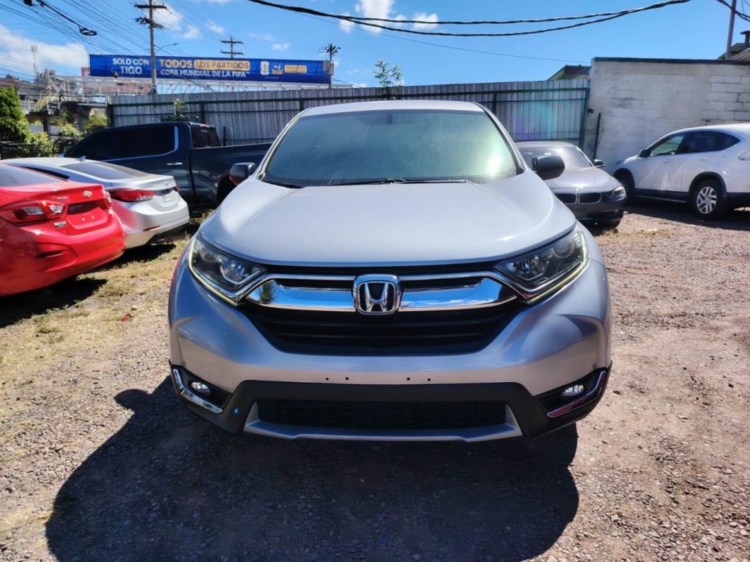 WhatsApp Image 2026-02-05 at 11.51.46 AM (4)