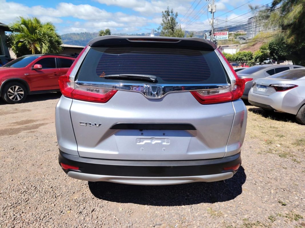 WhatsApp Image 2026-02-05 at 11.51.46 AM