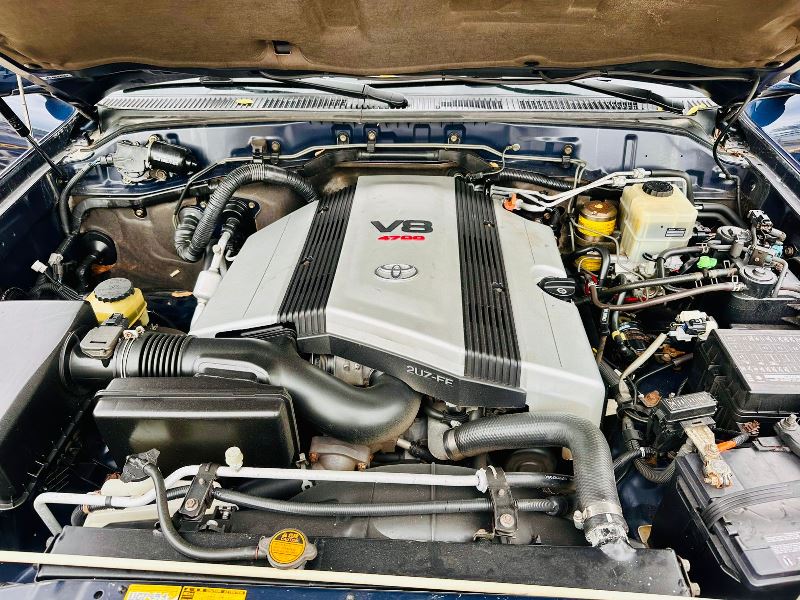 WhatsApp Image 2026-02-05 at 12.06.00 PM (2)