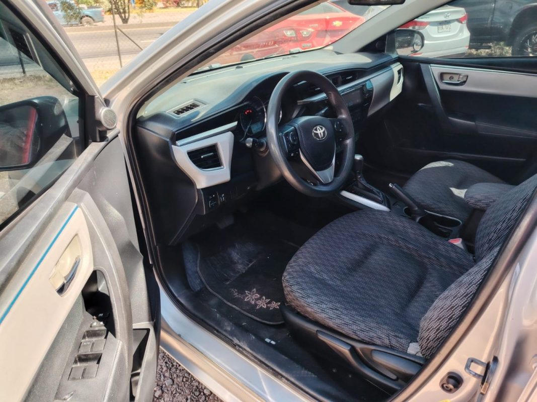 WhatsApp Image 2026-02-05 at 12.16.15 PM (2)