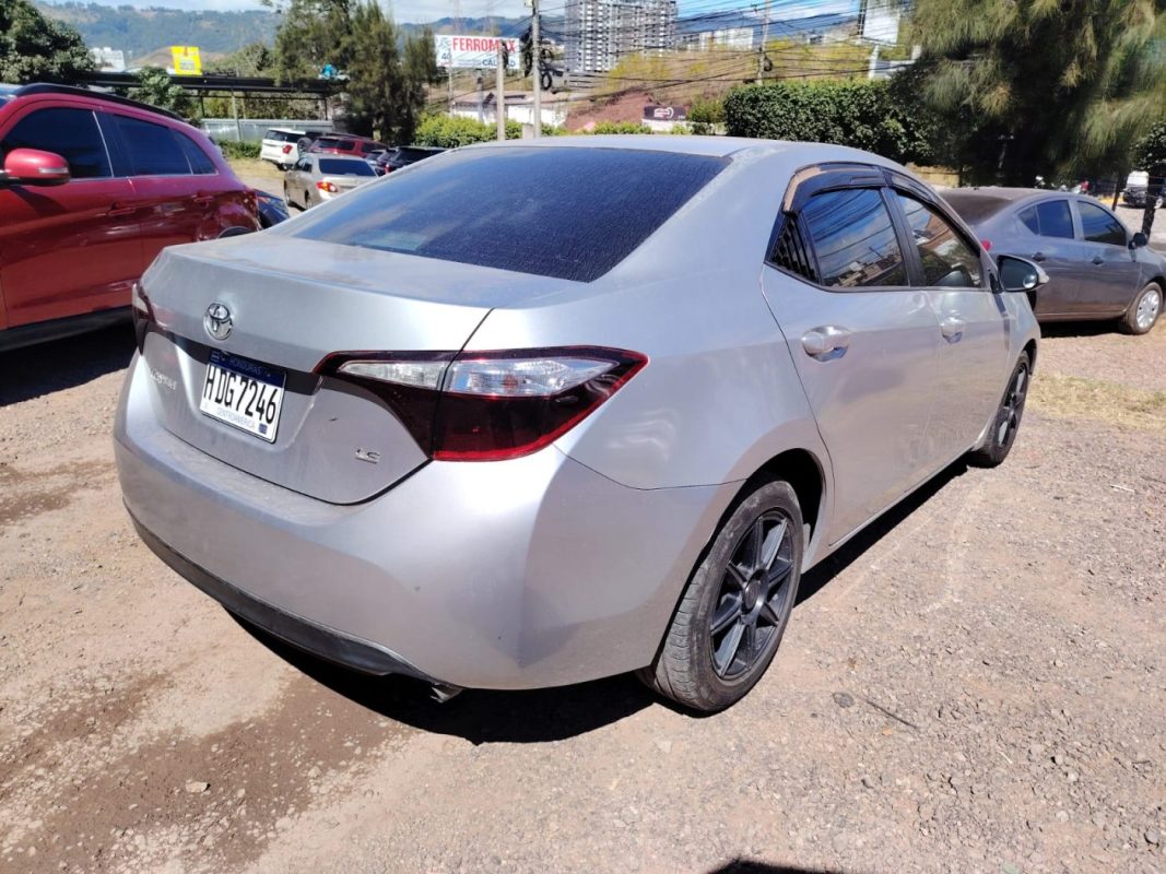 WhatsApp Image 2026-02-05 at 12.16.15 PM (3)