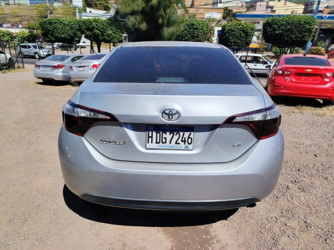 WhatsApp Image 2026-02-05 at 12.16.15 PM (4)