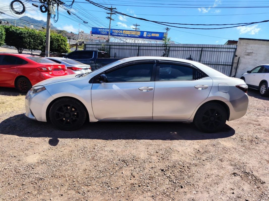 WhatsApp Image 2026-02-05 at 12.16.16 PM (1)