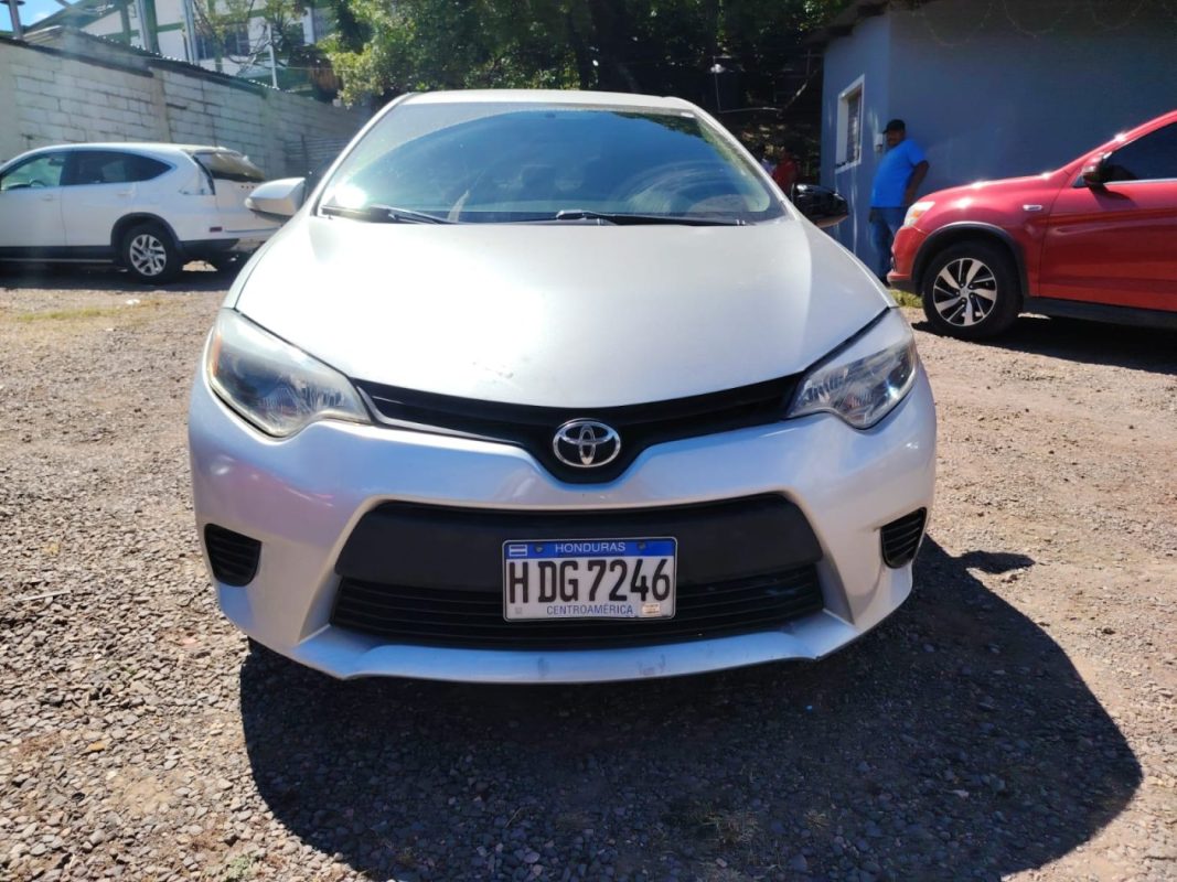 WhatsApp Image 2026-02-05 at 12.16.16 PM (3)