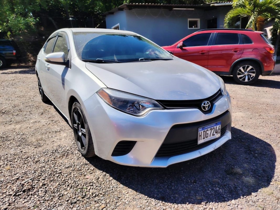 WhatsApp Image 2026-02-05 at 12.16.16 PM (4)