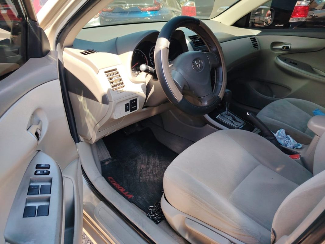 WhatsApp Image 2026-02-05 at 12.21.59 PM (1)