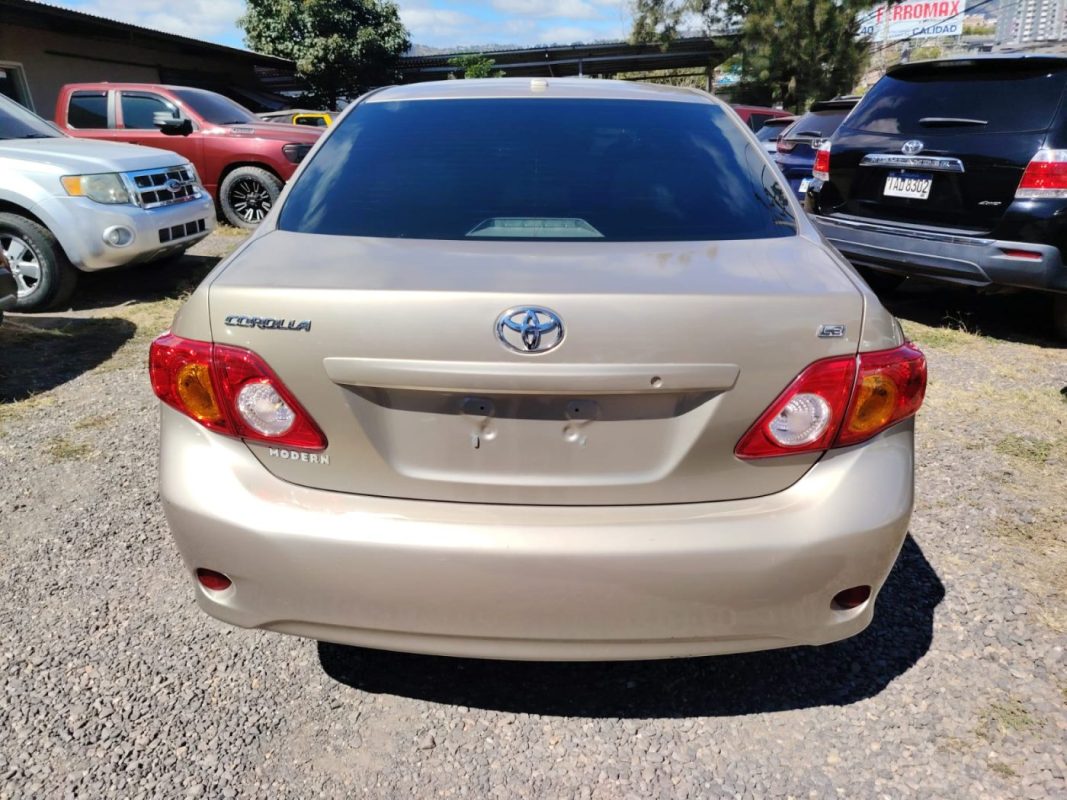 WhatsApp Image 2026-02-05 at 12.22.00 PM (1)