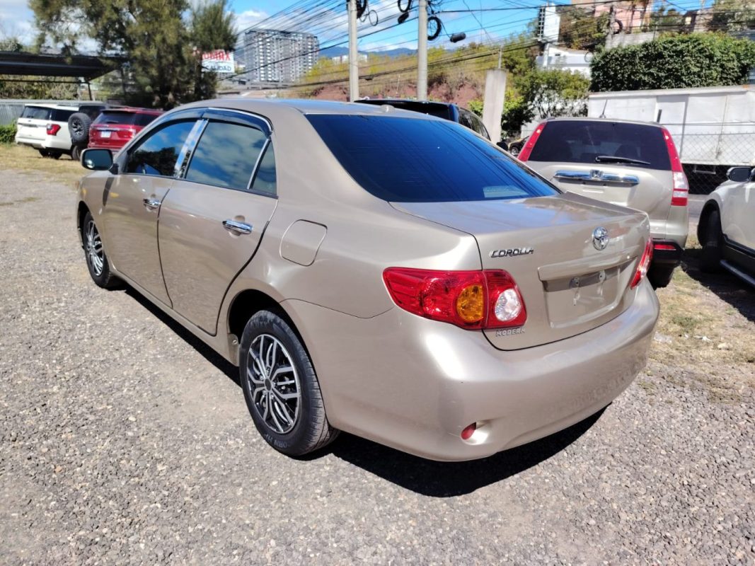 WhatsApp Image 2026-02-05 at 12.22.00 PM (2)