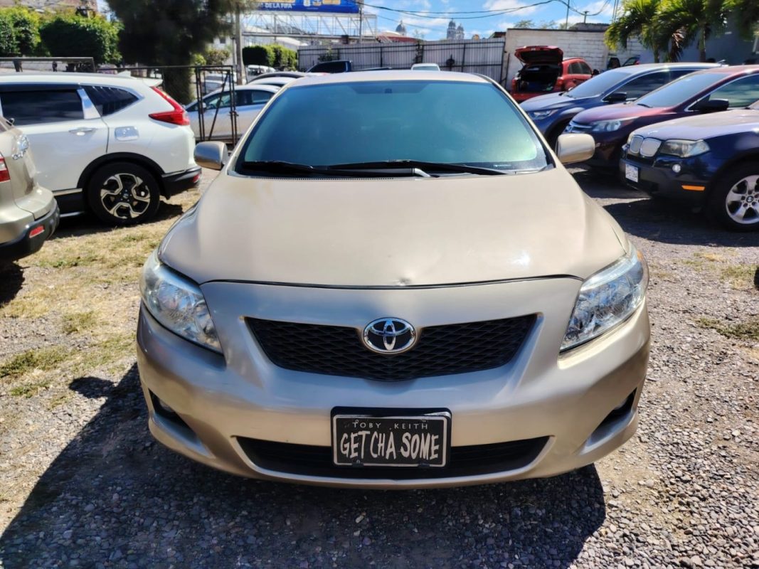 WhatsApp Image 2026-02-05 at 12.22.01 PM (1)