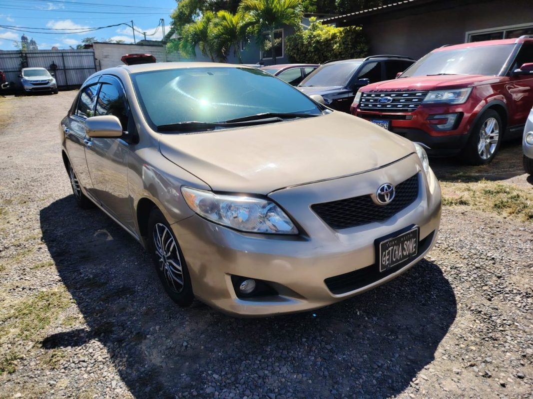 WhatsApp Image 2026-02-05 at 12.22.01 PM (2)