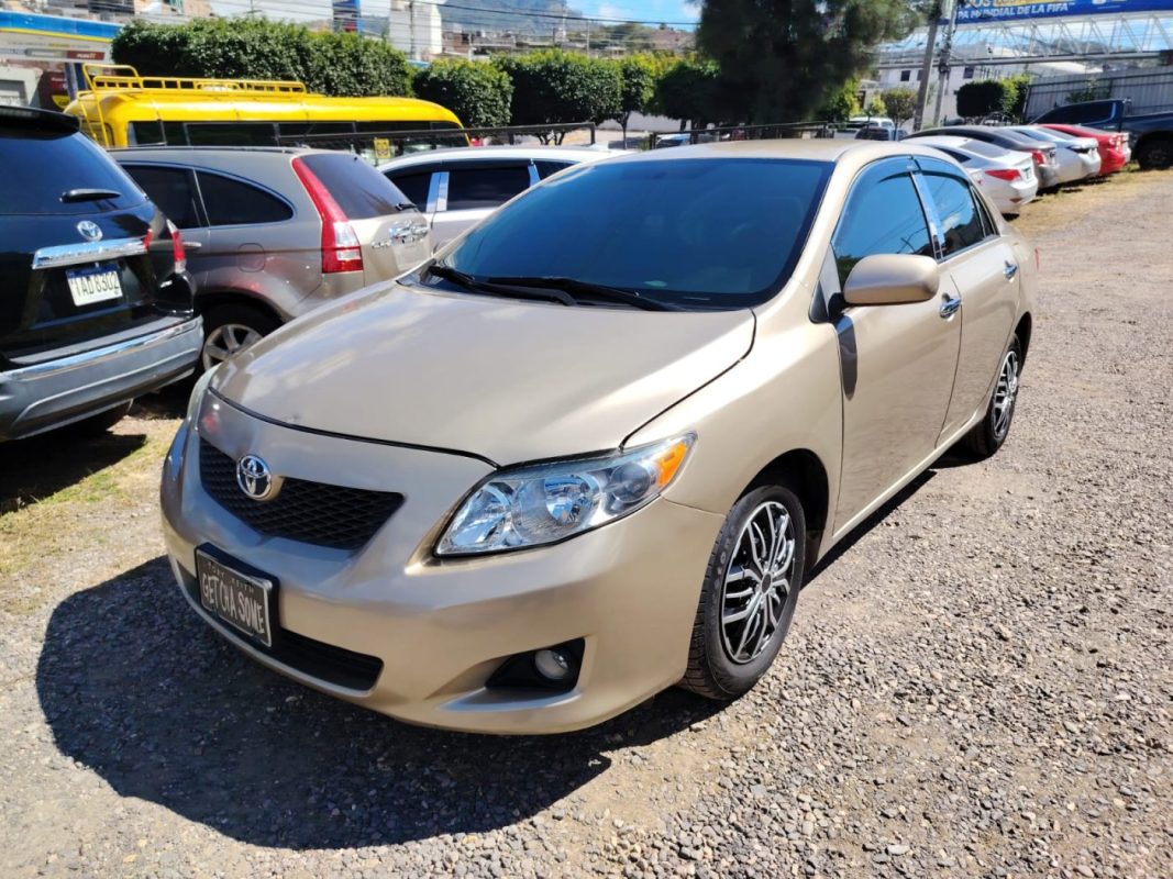 WhatsApp Image 2026-02-05 at 12.22.01 PM