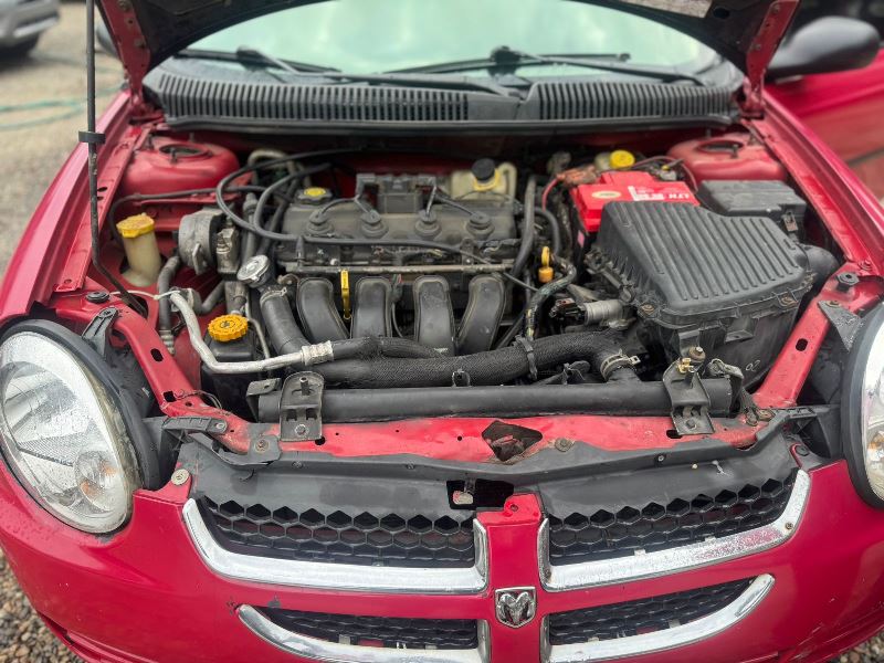 WhatsApp Image 2026-02-05 at 2.41.09 PM (2)