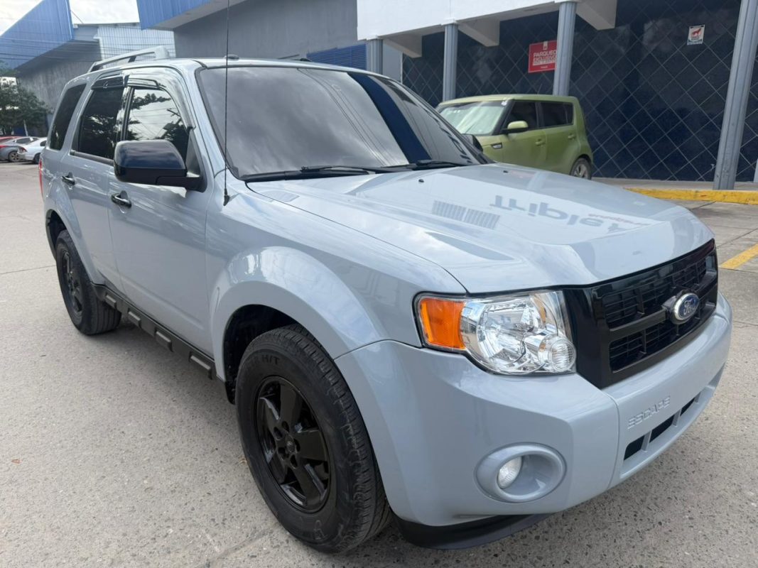 WhatsApp Image 2026-02-05 at 3.10.40 PM (1)